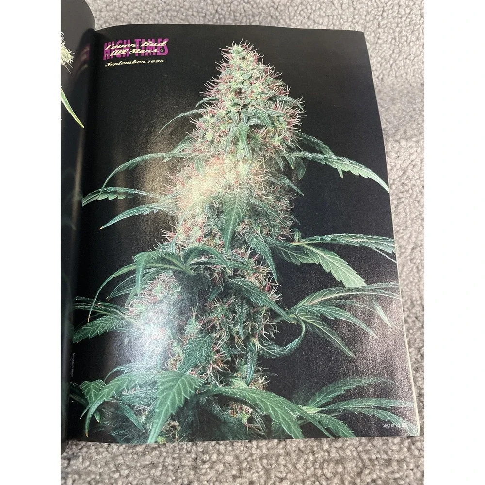 The Best of High Times‎ Magazine 2001 BO #29